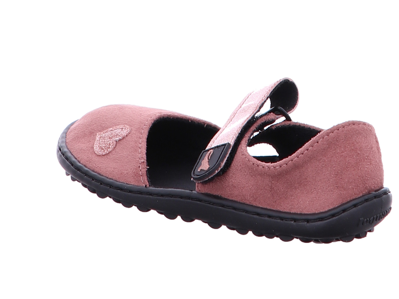 leguano_leguanito_jarina_leguanito_jarina_ros__2150