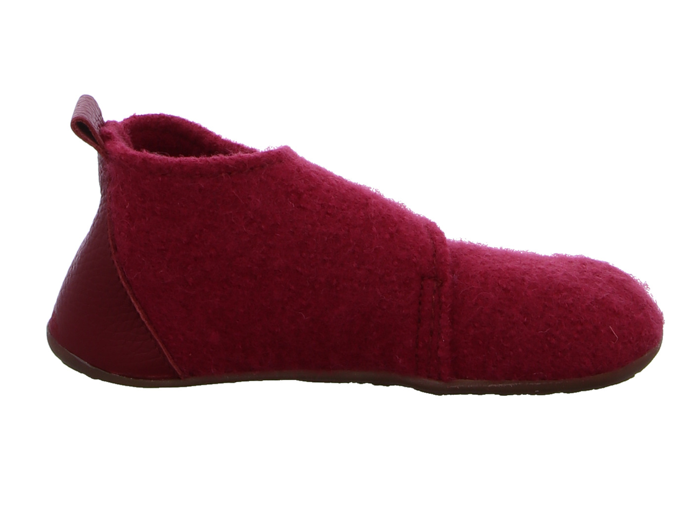 haflinger_everest_bello_481070_60_4135