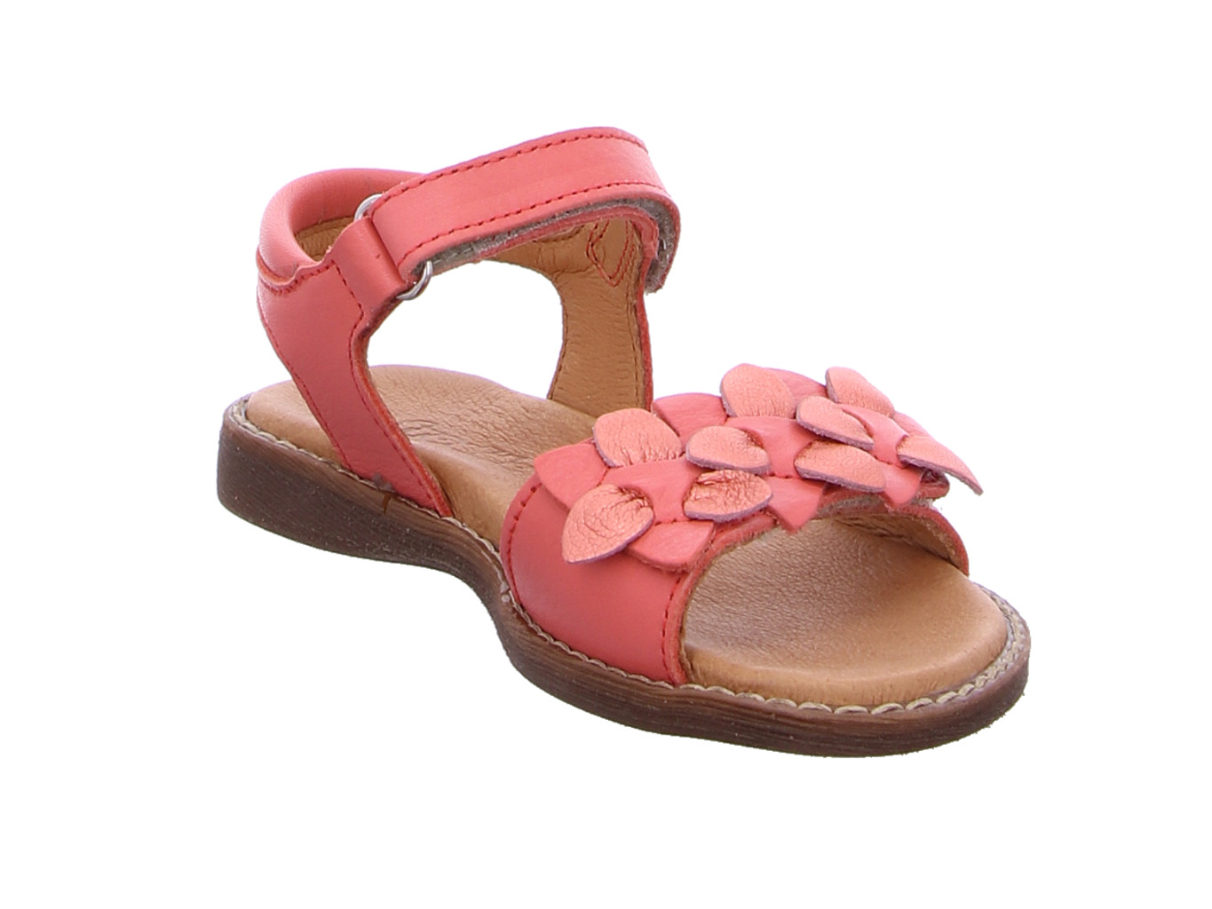 froddo_lorine_flowers_g3150251_48_6154