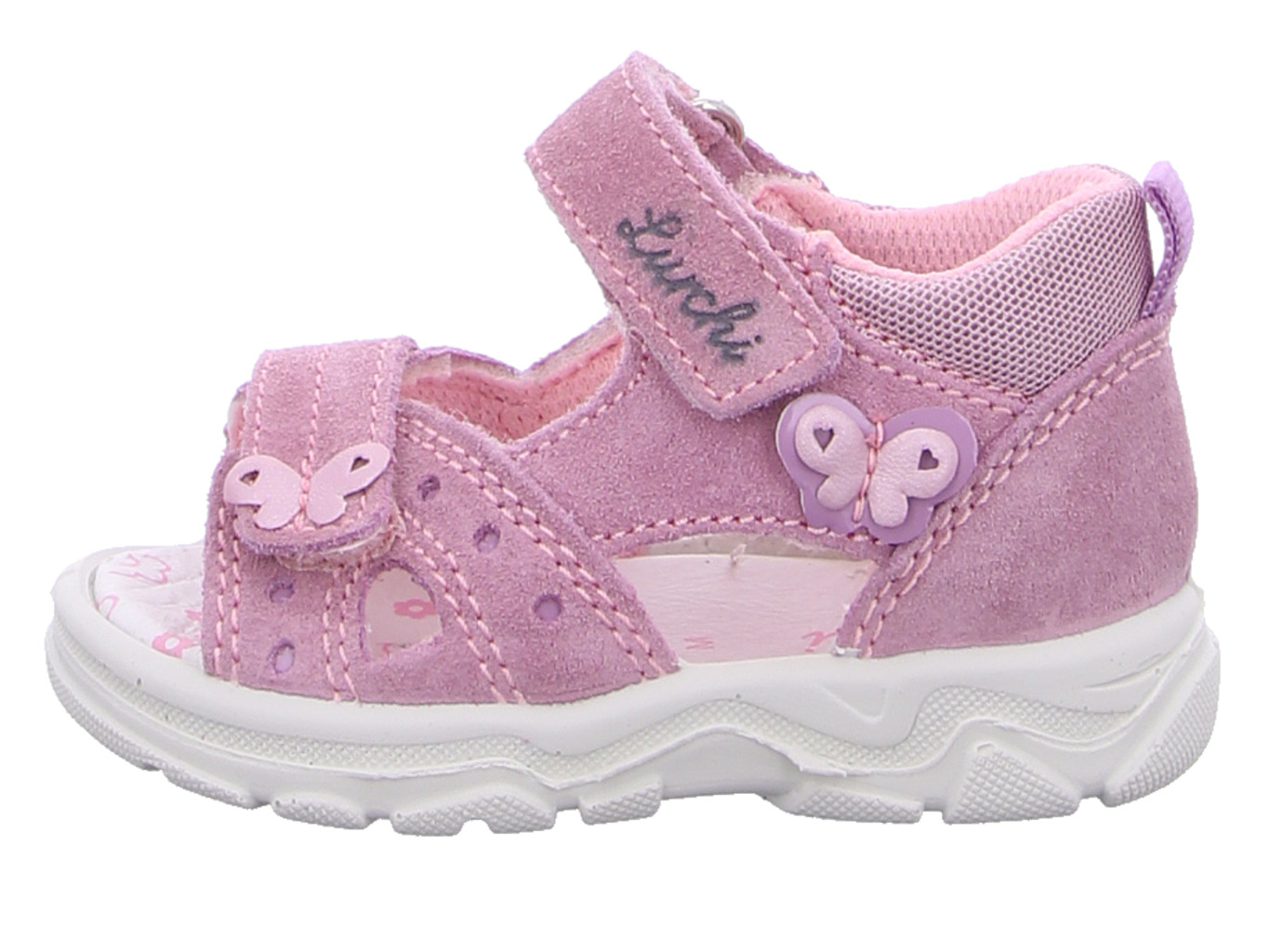 lurchi_gioa_33_19002_33_33_3249