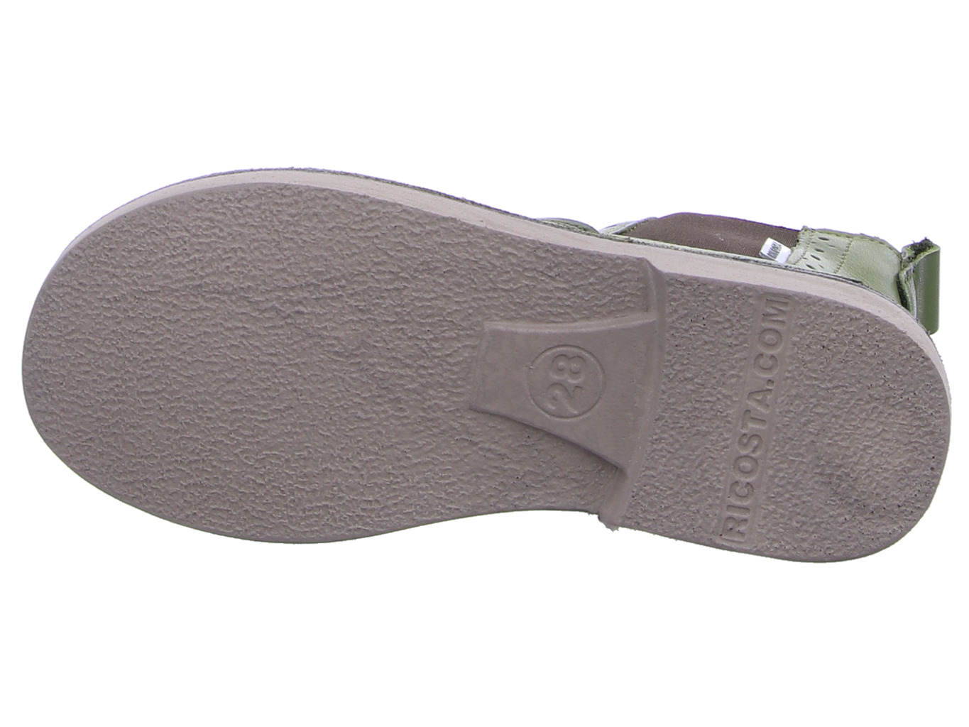 ricosta_dallas_leaf_7622300_570_570_8212