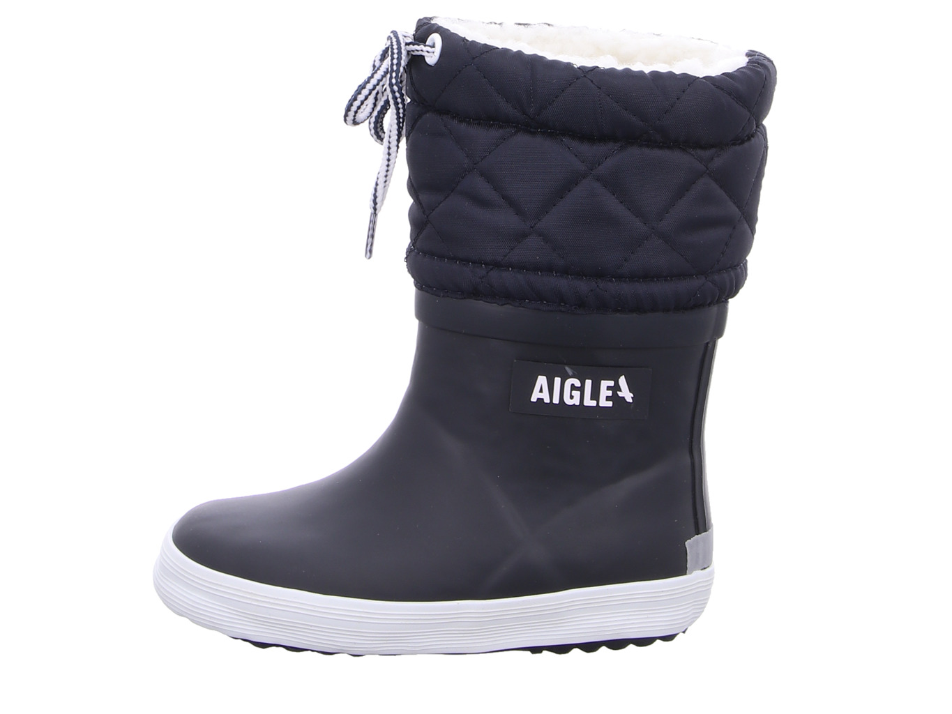 aigle_giboulee_ii_nb111_3141