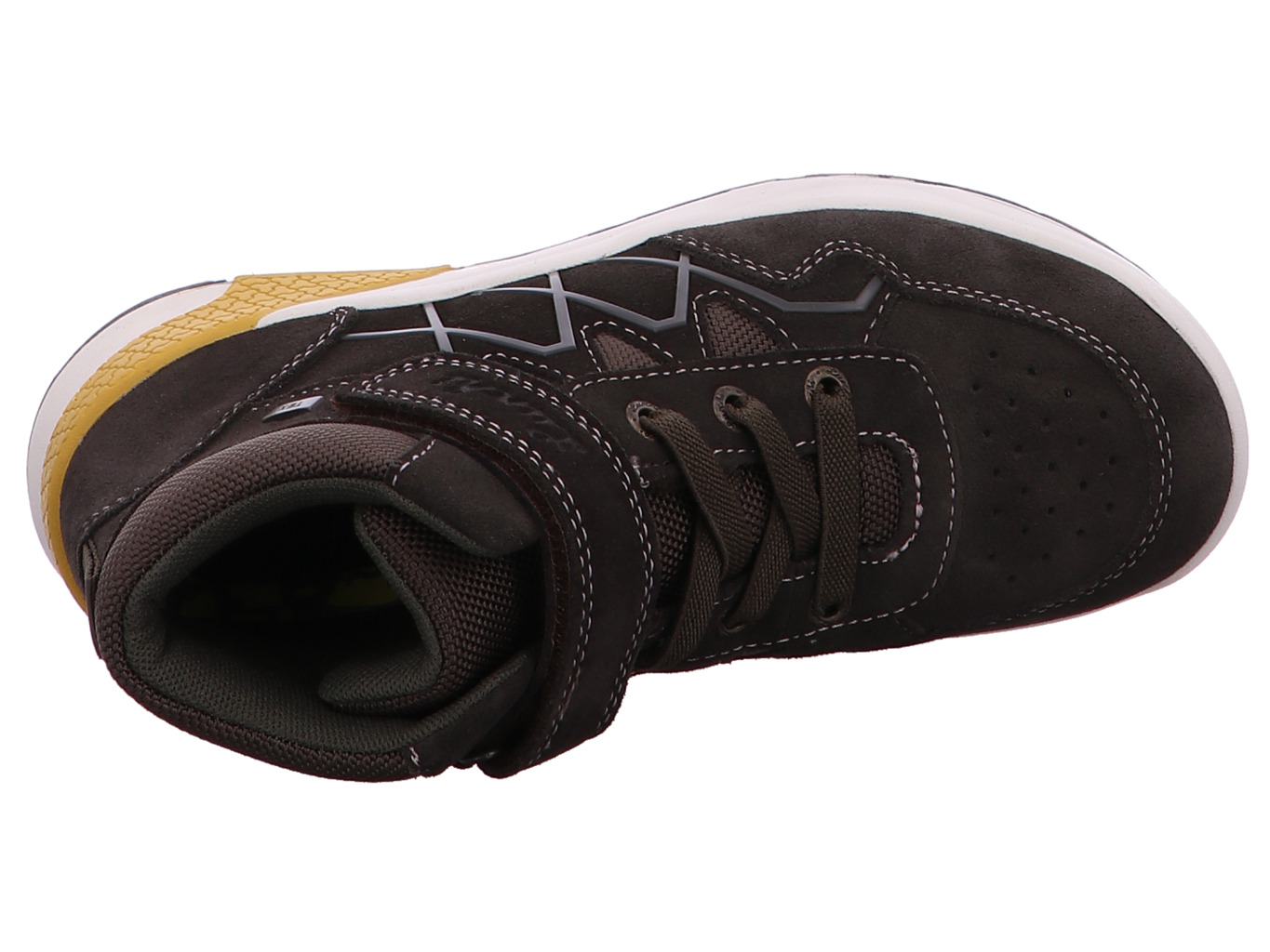 lurchi_ronald_tex_33_38016_26_26_7205